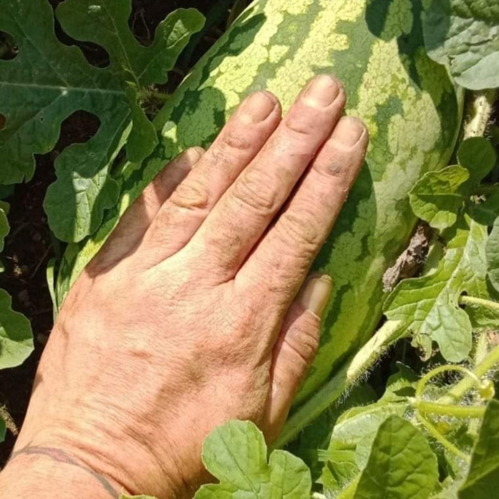 Meet your Posher, Carrie